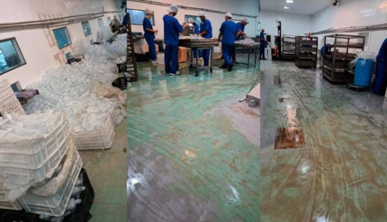 Fentanilo mortal: nuevos videos muestran cómo HLB Pharma borró pruebas