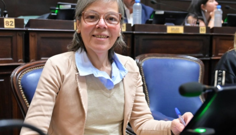 “Quiebre productivo” y derechos vulnerados: las alertas de Malaisi en la Legislatura
