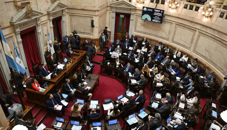 El Senado dejó sin efecto los vetos de Milei y aprobó la emergencia pediátrica y los fondos para universidades