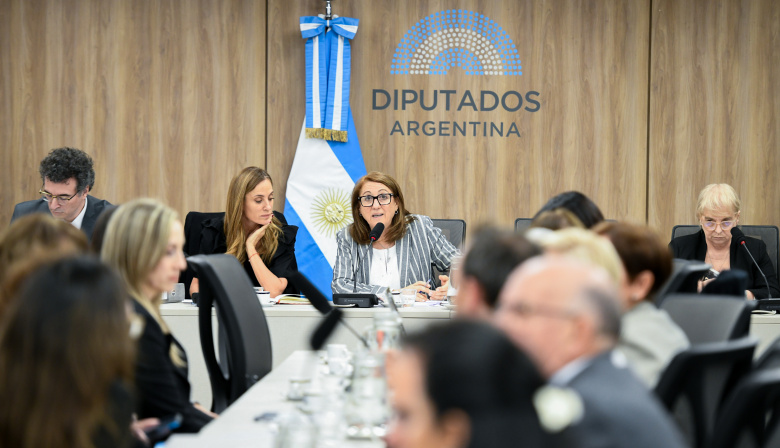 Comisión de Diputados recibió testimonios por la tragedia del fentanilo adulterado