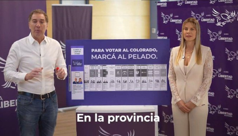 Malaisi apuntó contra el spot de La Libertad Avanza: “El circo político no debe llegar al Congreso”