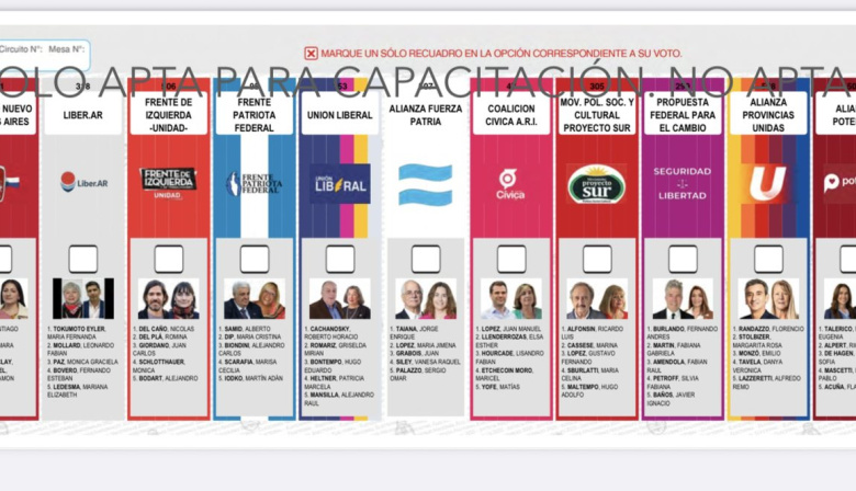 “Ojalá que la BUP sirva para que el argentino vuelva a votar”