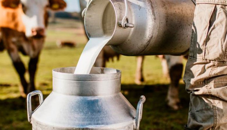 Cooperativas lácteas en acción: se viene la Expo Coopelac 2025