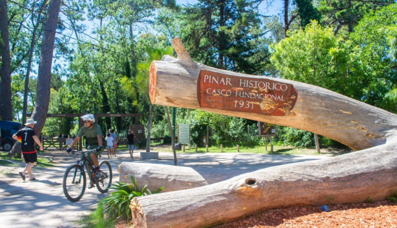 Avanza la restitución de los pinares fundacionales a Villa Gesell