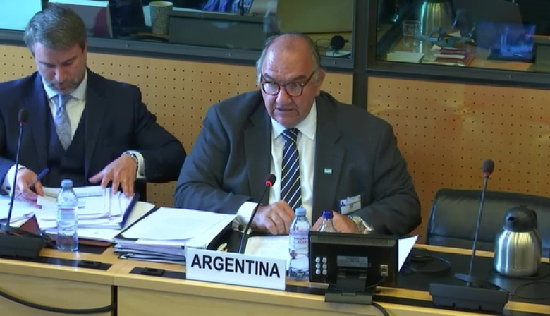 Argentina en la ONU: el Gobierno responde con ataques ante denuncias de tortura y represión