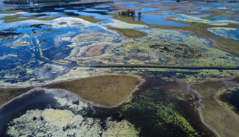 Seis millones de hectáreas bajo el agua: Buenos Aires enfrenta pérdidas por más de u$s2.000 millones