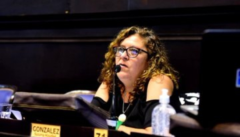 El Senado aprobó la expropiación de la antigua fábrica de sombreros y Ensenada construirá una escuela