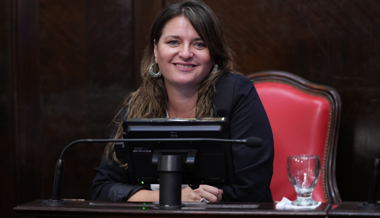 Reconocimiento a las enfermeras de Malvinas: avanza la ley en Buenos Aires