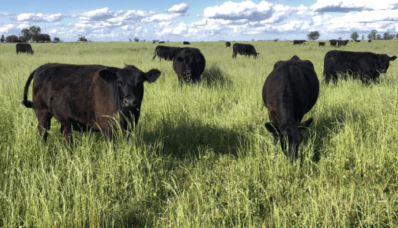 Más cruces por la “tasa al metano”: fuerte rechazo de CARBAP