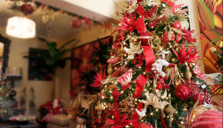 Mitos y costumbres de la Navidad: por qué el arbolito se debe cambiar cada 7 años