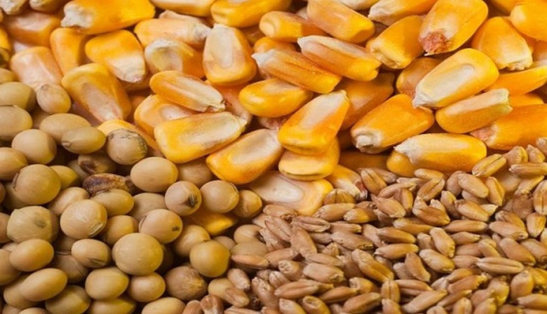 El Gobierno anunció una nueva baja en las retenciones para el campo