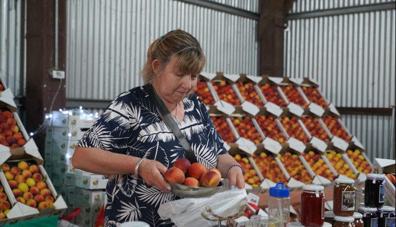 Cultura, sabores y tradición: llega la 50ª Fiesta del Durazno en Mercedes