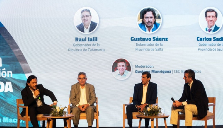 El Gobierno busca modificar la Ley de Glaciares para impulsar la minería y la energía