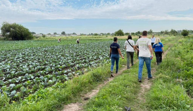 Alarma en el cinturón frutihortícola de La Plata: más del 90% del trabajo rural es informal