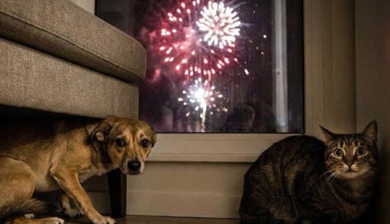 El ruido ya no es sinónimo de festejo