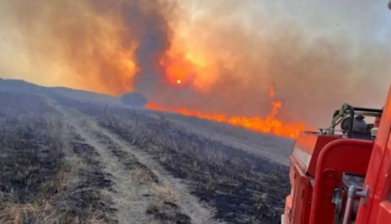 Productores bonaerenses en alerta por incendios rurales y pérdidas millonarias