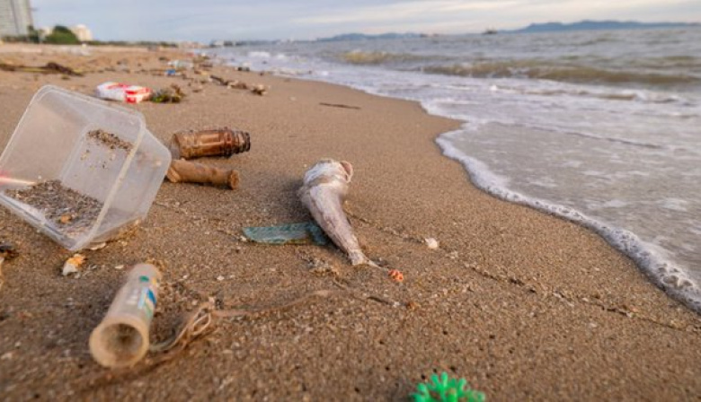 Playas bonaerenses bajo plástico