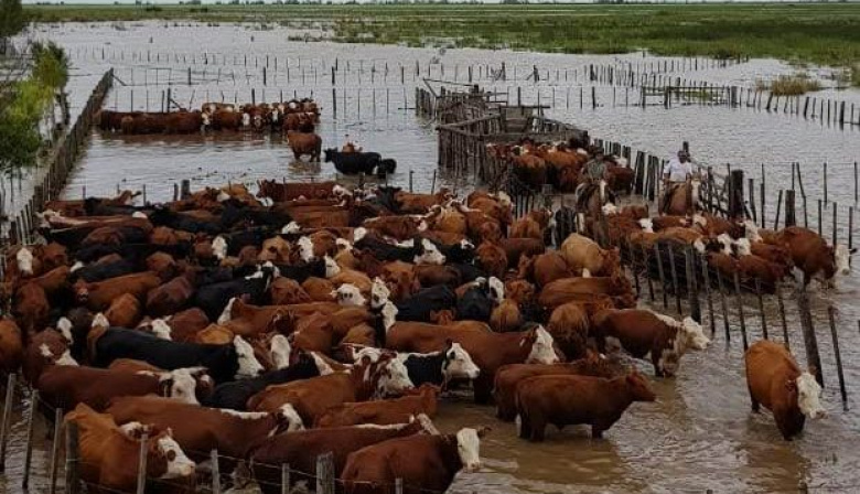 La Provincia prorrogó la emergencia agropecuaria en el sudoeste bonaerense
