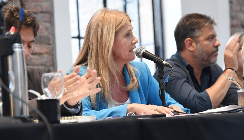 Magario: "El modelo económico de Milei no tiene salida"