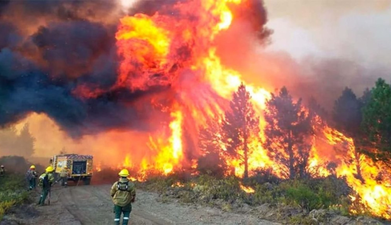Incendios sin respuesta: Milei ajusta, Torres calla y Chubut se quema