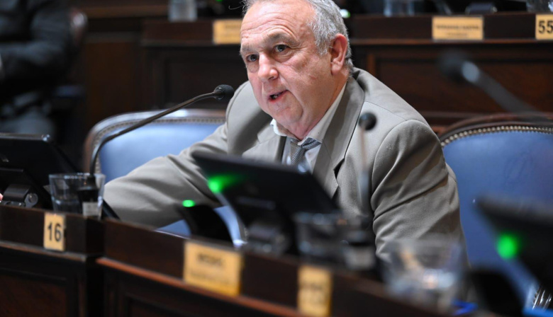 Proyecto de ley busca regular el uso de imágenes creada por inteligencia artificial en la PBA