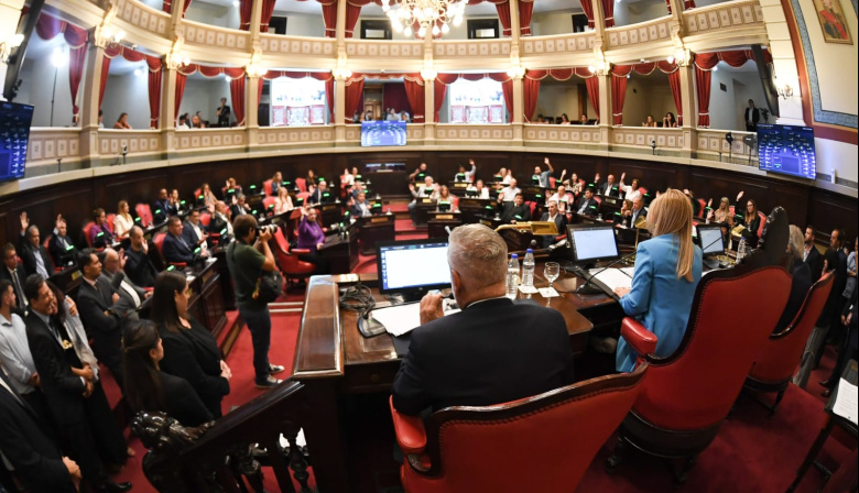 Impulsan la Creación de la Comisión de Mujeres y Diversidades en el Senado Bonaerense
