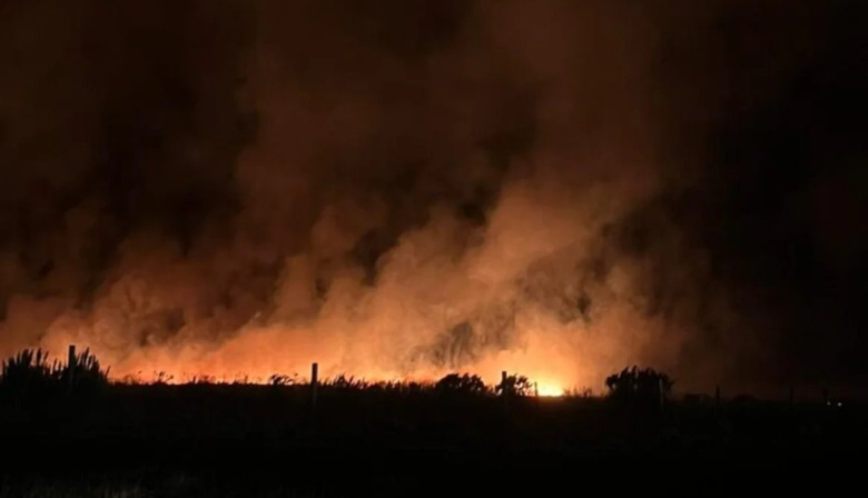 Incendio forestal en Mar del Plata: más de 200 hectáreas arrasadas