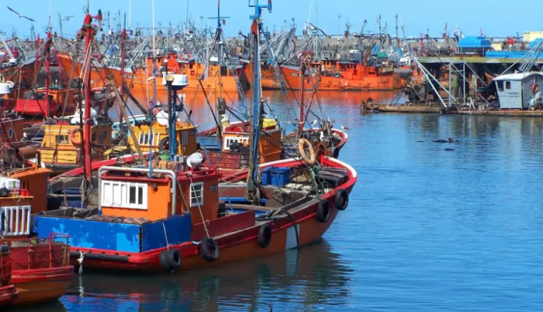 La Justicia federal investiga presunta contaminación industrial en el Puerto de Mar del Plata