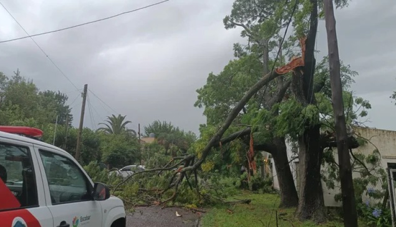 Temporal en el AMBA: inundaciones y destrozos en Ezeiza, Escobar y Lomas de Zamora