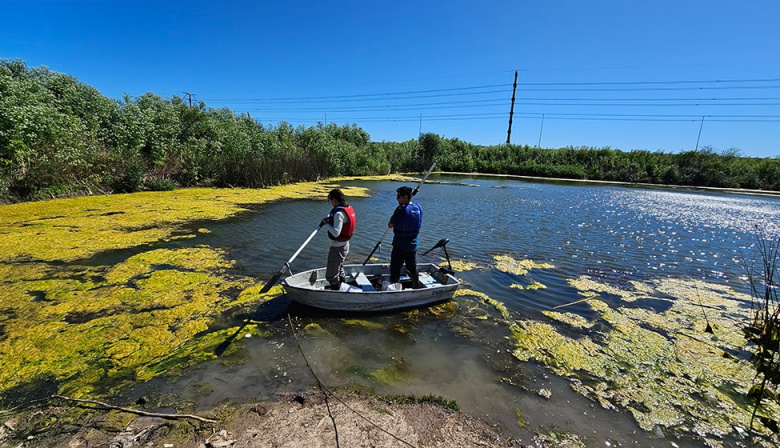 Estudian sembrar pejerreyes en 300 canteras abandonadas de Buenos Aires para impulsar el socio-ecoturismo