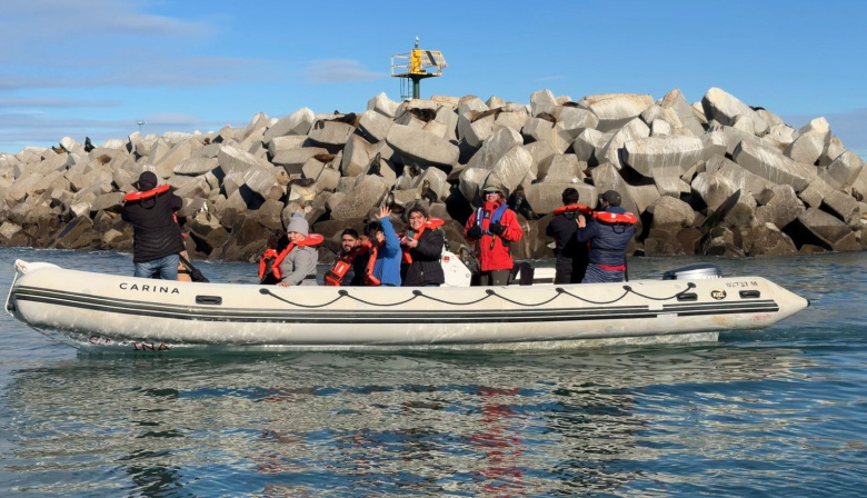 Chubut: Comodoro Rivadavia sumará experiencias de naturaleza con fauna marina