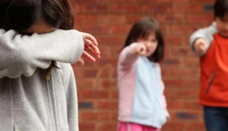 Proponen crear un Observatorio contra la Violencia Escolar en la provincia