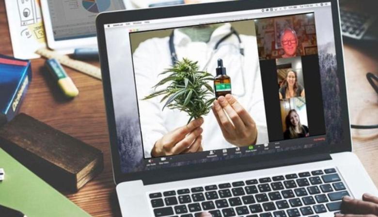 Provincia institucionaliza el cannabis medicinal y crea un consejo asesor para fortalecer las políticas públicas