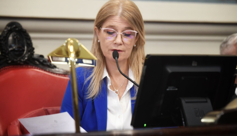 Magario convocó al Senado bonaerense y habrá sesión ordinaria el 24 de junio