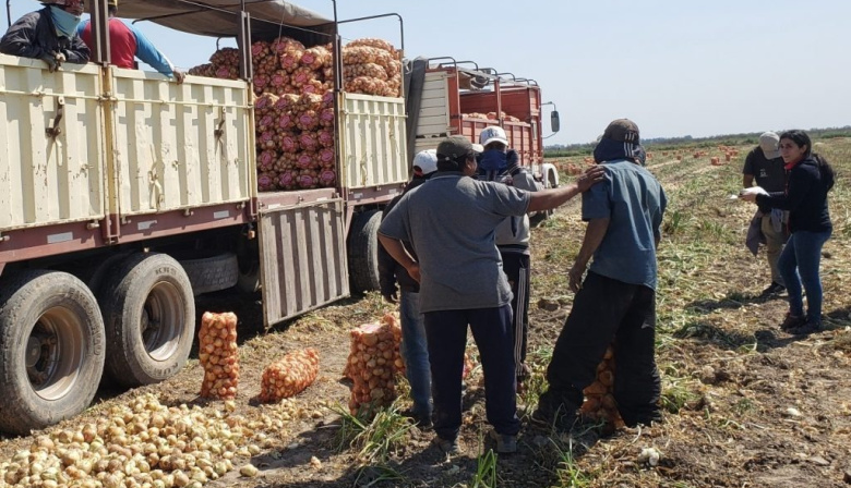 Trabajadores rurales cobrarán desde $1.088.000 en junio: Trabajo homologó la nueva escala de UATRE