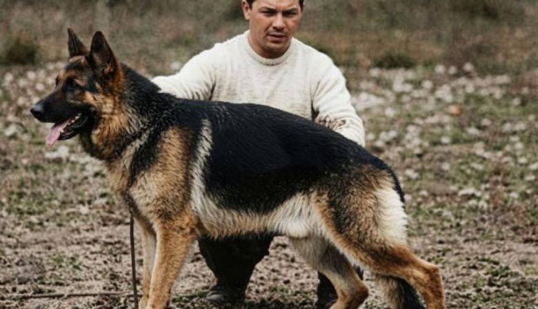 La emotiva historia de Chonino, el célebre ovejero alemán que inspiró el Día Nacional del Perro