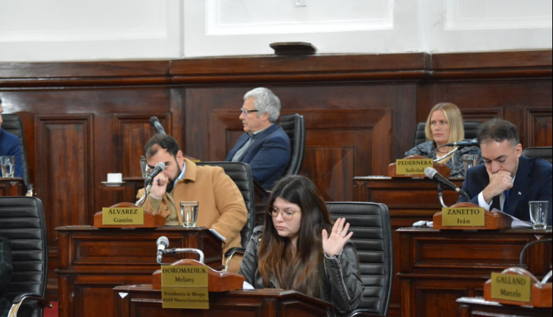 Parque Saavedra: el Concejo dio luz verde a su puesta en valor