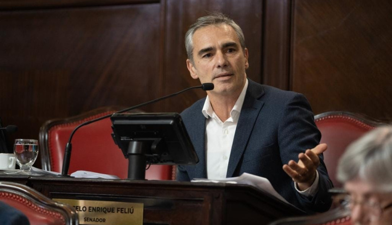 Feliú presentó un proyecto para crear juicios rápidos y gratuitos por conflictos vecinales en la Provincia
