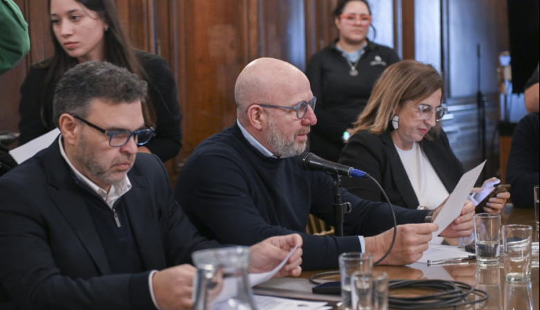 La Legislatura porteña debatió parto respetado y menopausia