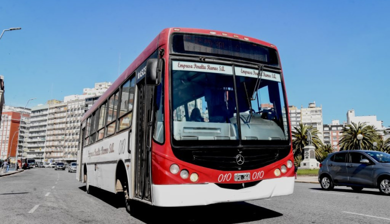 Impulsan pictogramas en colectivos de Mar del Plata para personas con TEA y otras discapacidades
