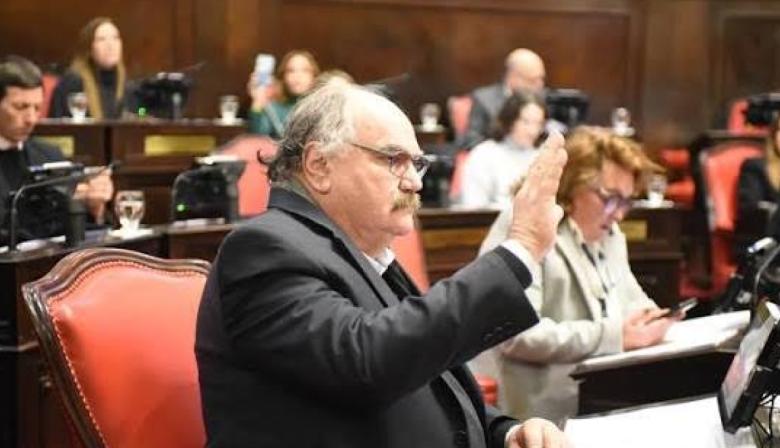 Schiavone advirtió que cambiar las reelecciones “debilita la calidad institucional”
