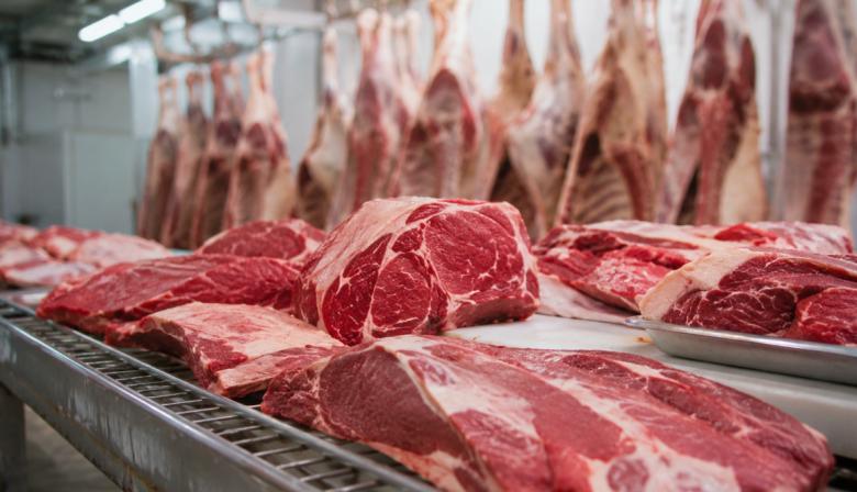 Puglelli alertó por el avance de las importaciones de carne y el impacto en la producción local
