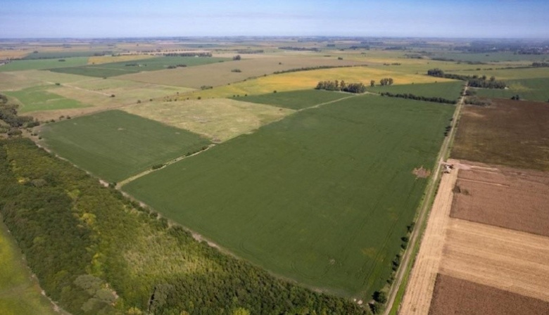 Campana y Zárate lideran la extranjerización de tierras en la provincia de Buenos Aires  