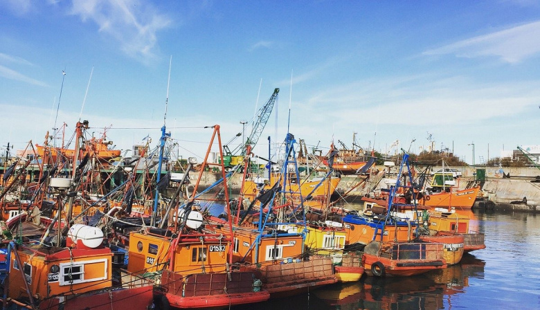 "Cancha inclinada": Provincia denunció al Gobierno por favorecer a otros puertos y dejar afuera a Mar del Plata