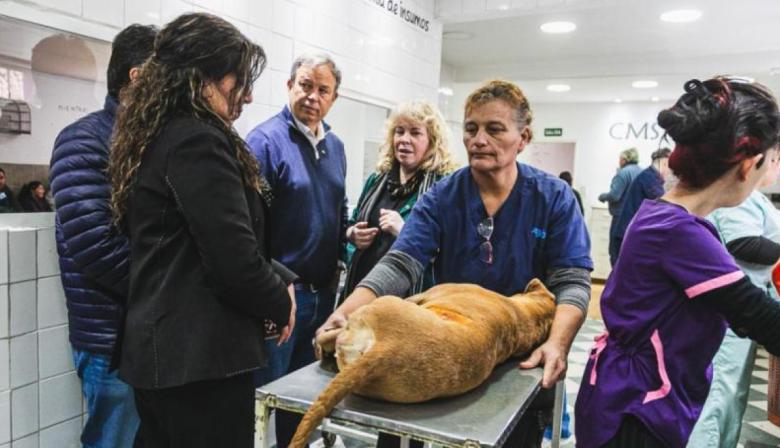 El modelo de Zoonosis Brown se replica en otros municipios