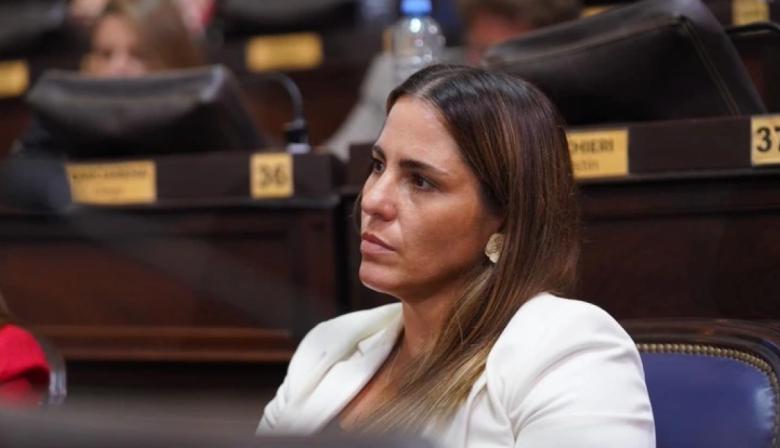 El PRO impulsa la eliminación del Impuesto Inmobiliario Complementario