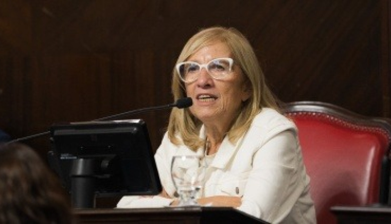Impulsan en la Legislatura bonaerense un "Plan Provincial Integral de Cuidados"