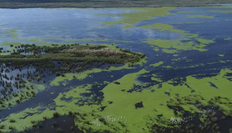Kicillof reforzó los controles sobre las islas bonaerenses