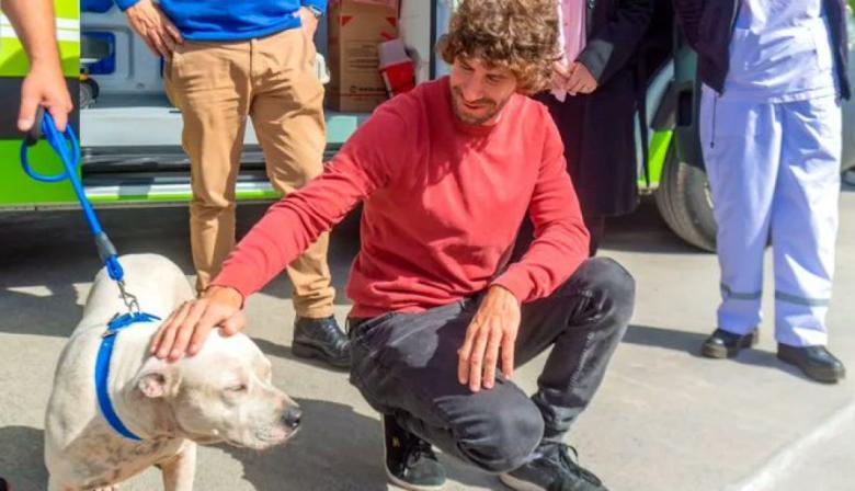 San Fernando prohibió los criaderos y la venta de mascotas