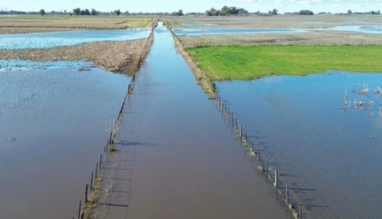 Declararon la emergencia agropecuaria en 9 de Julio y Necochea